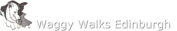 Waggy Walks Edinburgh